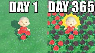 I Let This Flower Spread for 1 Year... (Animal Crossing New Horizons)