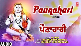 Paunahari I Punjabi Baba Balaknath Bhajan I TS TEER I Full Audio Song