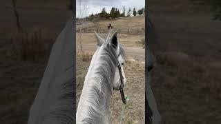 Doesn’t matter where we go!   #horse #ranch #horsemanship #ranchlife #grandlakecolorado #colorado