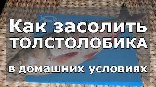  Как быстро засолить толстолобика кусочками в домашних условиях и чтобы мясо было вкусное и мягкое