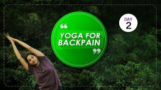 Day 2 of 5 days Yoga For Back Pain Cure  (Follow Along) | Yoga Sessions For Beginners