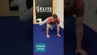 Quadruped Hip Cars
