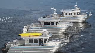 Introducing BRIX Marine