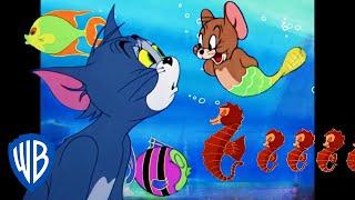 Tom & Jerry in italiano  | Avventure con i pesci  | WB Kids