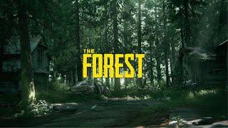 The Forest  ● Я вернулся, привет ●