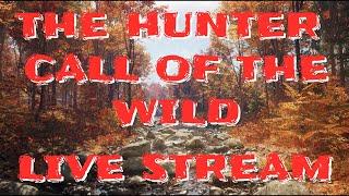 When a game captures the reality of the hunt! | Live Stream On YouTube 2025