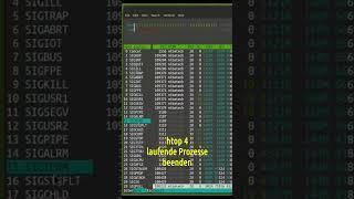 Linux Terminal Kurs 42 - htop 4 / laufende Prozesse  beenden