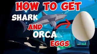 HOW TO GET SHARK AND ORCA EGGS IN FISHING SIMULATOR  !!