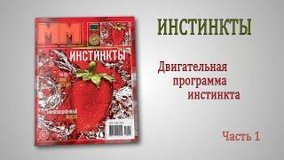 Инстинкты. Часть 1.  Двигательная программа инстинкта.