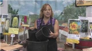 Flower Garden Tips : How to Plant Lilies in Pots