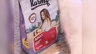 Кушаем Karmy