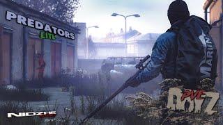 DayZ PvE ▶ В поисках ценного. Predators Lite #2