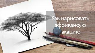 УРОК 6 - КАК АФРИКАНСКОЕ ДЕРЕВО | Рисуем шаг за шагом  | детальный разбор! | Рисунки для начинающих