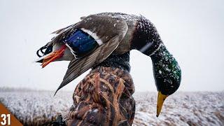 MALLARDS in the SNOW! | 28 Gauge SOLO Duck Hunt