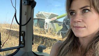 Calling It Quits | Harvest Vlog #6