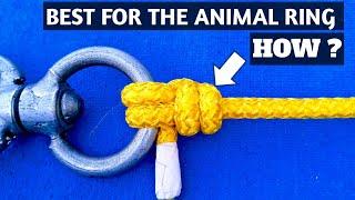 How to tie a Spanish Ring Knot?#knots #rope #how