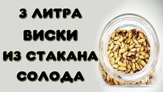 3 ЛИТРА ВИСКИ ИЗ СТАКАНА СОЛОДА. Имитация виски из сахарного самогона. Мацерат из солода пилснер