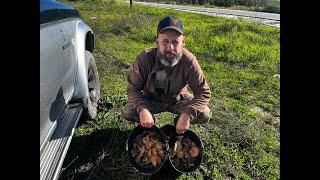 Mushroom Foraging: A Community Experience