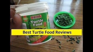 Top 3 Best Turtle Food Reviews in 2024