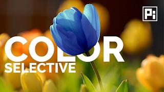 How to Replace Color in Photoshop CC 2017 | Adjust Color Selectively