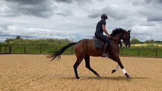 Fastnet rock