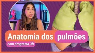 ANATOMIA DOS PULMÕES! Com programa 3D