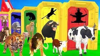 Choose The Right Baby Animal Door With Elephant Cow Tiger Hippo Buffalo 5 Time Challenge Long Slide