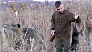 Auf Nutrias mit der .22long rifle  / Hunting Nutrias