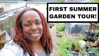 The Beginning - 1st SUMMER Garden Tour!