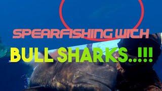 Spearfishing Sibuyan Island: Cambajao Shoal, Stoned Shot for GT// Bull Sharks // Wall Hunting (SB69)