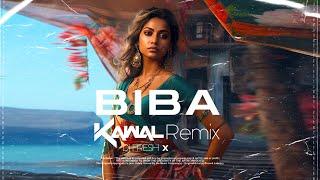 BIBA (REMIX) - DJ KAWAL X DJ FRESH