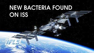 Bacteria Found On The ISS