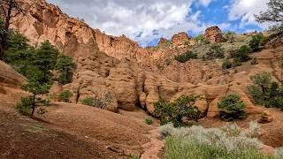 Red Mountain & Lava River Cave - Flagstaff, AZ