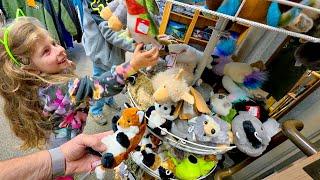 We Take Her to St Helens!! • For the Correct Cat..! | TheSmoaks Vlog_3506