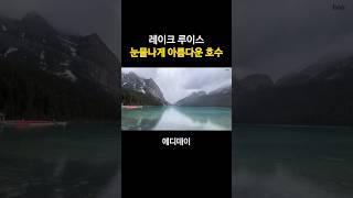 캐나다 벤프 여행 호수 레이크 루이즈 canada banff lake louise #shorts