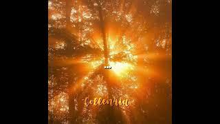 Heavy love/ sunset edit/ CapCut/ collenria