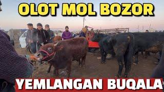 BUXORO OLOT MOL BOZOR 21.12.2024/ YEMLANGAN BUQA NARXLARI