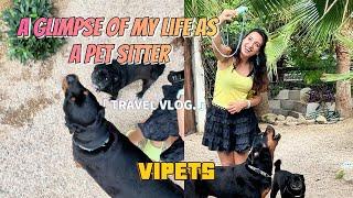 A glimpse of my life as a petsitter| VIPets #cat #animal #dog #vipets