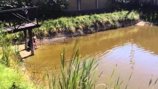 Рыбалка на сети | Fishing with nets