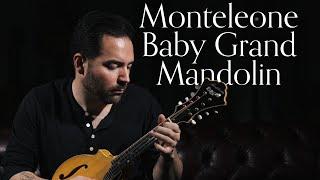 Monteleone Baby Grand Mandolin, Maple & Spruce | Carl Miner