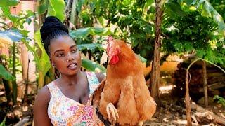 Cutting a Chicken  For My Family ,Before  Leaving  Home For A Trip