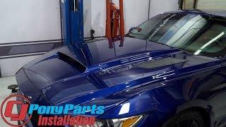 2015-2017 Mustang V6/EcoBoost/GT Cervini Hood Stalker Unpainted Fiberglass With Louvers Installation