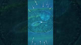 Let's take a TRIP back to the beginning!... #love #mothersday #trippymeditation #gratitude