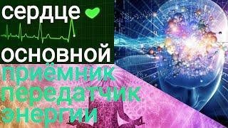 Сердце наше всё, КАК связаны МОЗГ и СЕРДЦЕ? Что такое Резонанс Шумана?