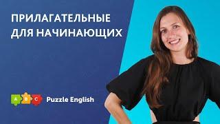 Прилагательные для начинающих || Puzzle English