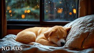 12 Hours of Relaxing Music for Dogs  Relaxing music to help your pet fall asleep!