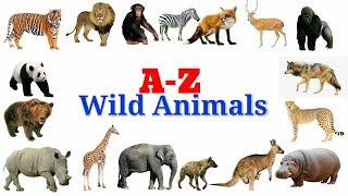 Wild animals Names  for kids with pictures @LearnAtoZ learn ##wildanimalnames #learnatoz