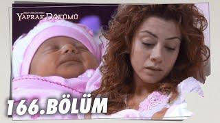 Yaprak Dökümü 166. Bölüm - Full Bölüm