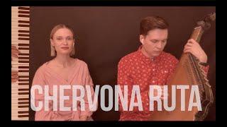 Володимир Івасюк - Червона рута | DZHUS & MELESHKO cover