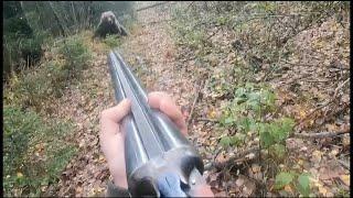  BEAR attacks russian man...